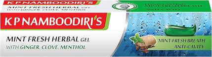 KP Namboodiri Mint Fresh Herbal Gel Toothpaste 